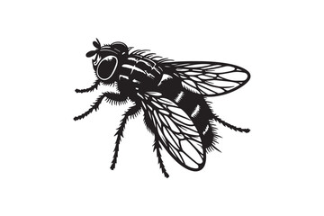 fly  vector art illustration