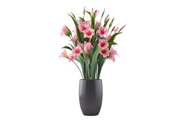 Fototapeta premium Pink tulip in vase isolated on transparent background