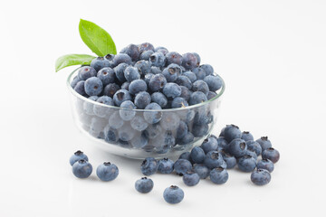  A shrub of the azalea family. The fruit is light blue or black in color and has white powder on the outside.
