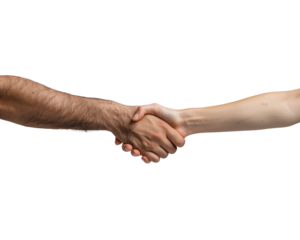 handshake isolated on white background