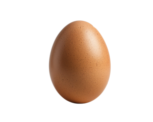 egg isolated on white background