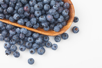  A shrub of the azalea family. The fruit is light blue or black in color and has white powder on the outside.

