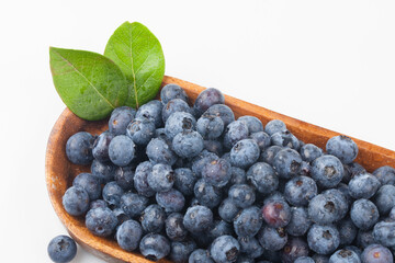  A shrub of the azalea family. The fruit is light blue or black in color and has white powder on the outside.
