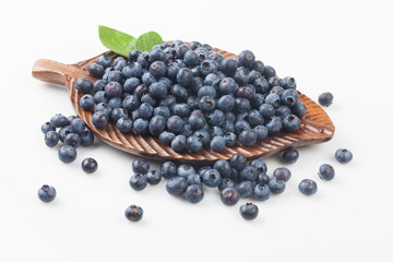  A shrub of the azalea family. The fruit is light blue or black in color and has white powder on the outside.
