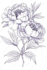 Anti-stress coloring book for adults, children. Flower series of coloring pages.