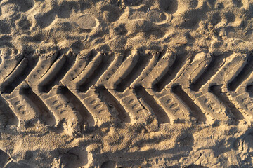 Tire Tracks Imprinted in Sunlit Sand