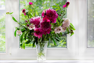 Bouquet of peonies on a windowsill on a sunny day