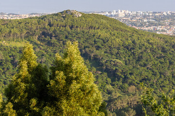 Verdant vista of sintra mountain