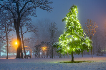 A christmas tree with lights in a park. Winter night scene.