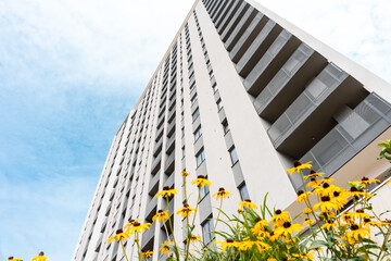 A view of the facade of a building