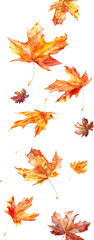 Falling autumn leaves in the style of clip art, isolated on a white background