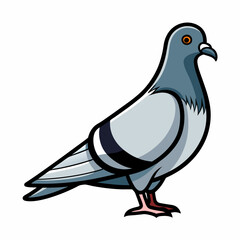 pigeon color bird vector silhouette illustration svg file
