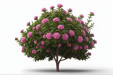 Obraz premium Beautiful flower with transparent background