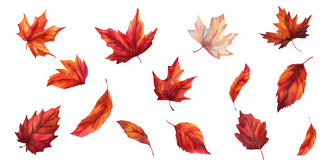 Fototapeta premium A set of autumn leaves isolated on a white background