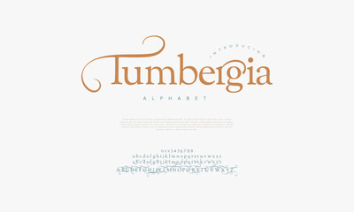 Tumbergia premium luxury elegant alphabet letters and numbers. Vintage wedding typography classic serif font decorative vintage retro. creative vector illustration