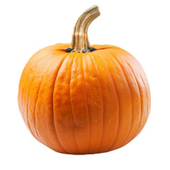 Obraz premium Fresh ripe pumpkin isolated on white background