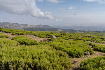 Etiopia, view over the Bale national park from the higest point.
