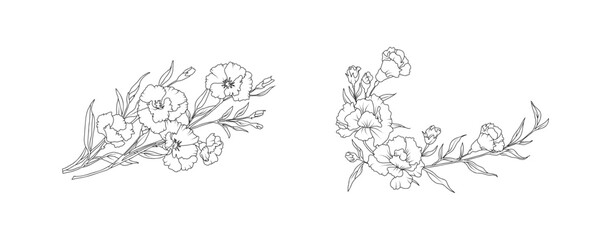 Carnation flower arrangement line art on white background. Silhouette botanical hand drawn element for wedding, invitation frame design, vector illustration
