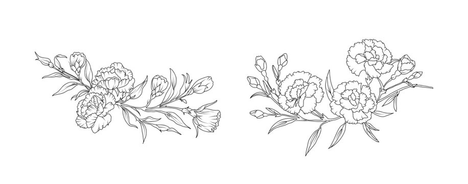 Carnation flower arrangement line art on white background. Silhouette botanical hand drawn element for wedding, invitation frame design, vector illustration