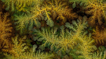 Organic colorful abstract fractal shapes and lines background