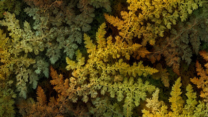 Naklejka premium Organic colorful abstract fractal shapes and lines background