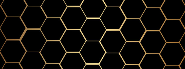 Abstract luxury colorful hexagonal geometric background. Luxury colorful 3D futuristic honeycomb mosaic background. Abstract hexagonal lines background. Vector Illustration.
