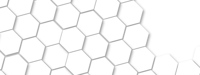 Abstract white hexagonal geometric background. Luxury White 3D futuristic honeycomb mosaic white background. Abstract white lines background. Vector Illustration.