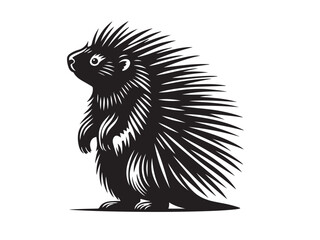 Animal porcupine icon isolated on white background.