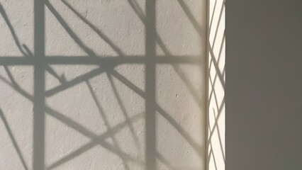 Luminous Grace: The Art of Shadowplay