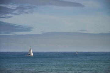 Sailboats sailing in a calm sea with sails blowing in the wind