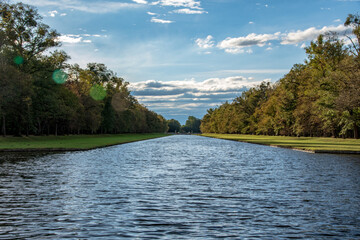 the river in the forest