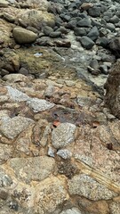 stone wall background