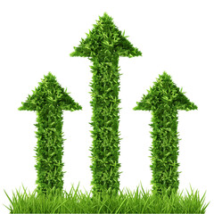 Three arrows of rotted green grass on a white background