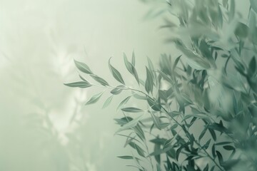 Tree vegetation outdoors weather