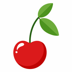 illustration of a cherry