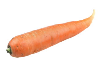A long carrot with a green top
