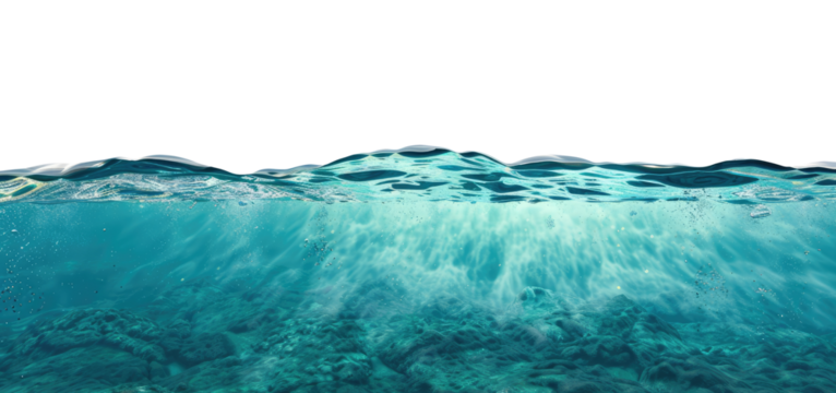 Water surface with bottom of the sea isolated on transparent background