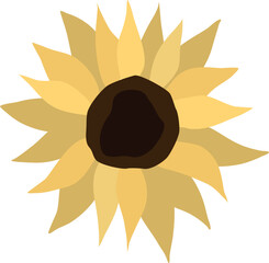 Yellow sunflower on isolated white background. Watercolor botanical illustration, hand drawing, boho design