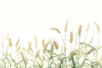 Fototapeta premium Golden wheat stalks reaching towards a bright white sky