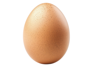 A large egg with a brown shell