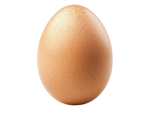 A large egg with a brown shell