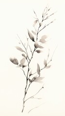 Fototapeta premium Drawing sketch plant white.