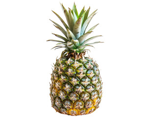 Fototapeta premium A pineapple is sitting on a white background
