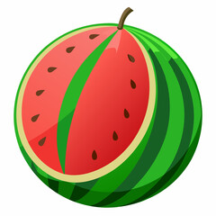watermelon vector illustration on white background.