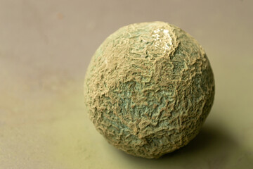 rotten spoiled lemon in mold, mould spores around, compost, overconsumption, organic waste, close-up, copy space. zero waste, overconsumption, ecology concept