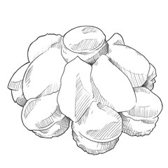 Food hand drawn sketch French pastry Saint Honoré