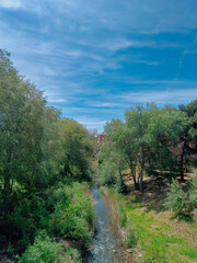 Obraz premium road in the forest