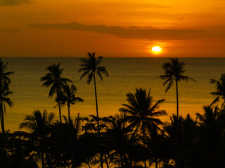 Scenic landscape of golden sunset over the sea and coconut trees in beach in Santa Fe, Tablas, Romblon. Philippines.