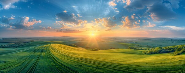 Aerial view of a sunset over a green field with rows of crops, sun rays shining through clouds in a blue sky, highlighting the rural landscape and the beauty of farmland.