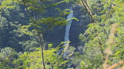 Slow motion video of hidden waterfall flowing in lush jungle